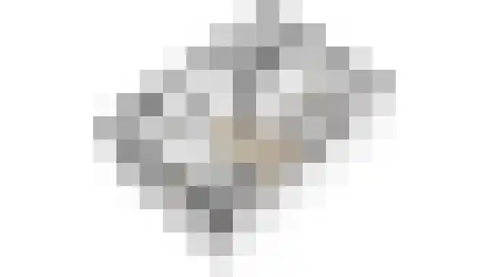Wilgenlaan 34 Udenhout thumbnail 45