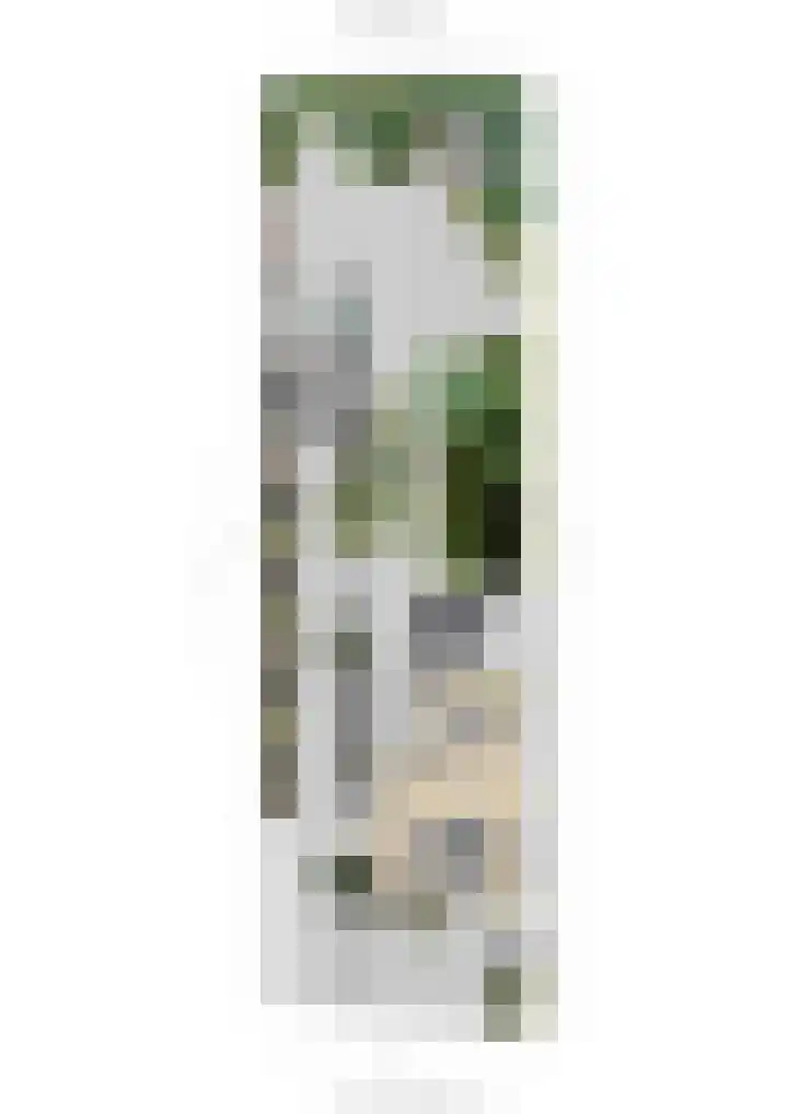 Wilgenlaan 34 Udenhout thumbnail 55