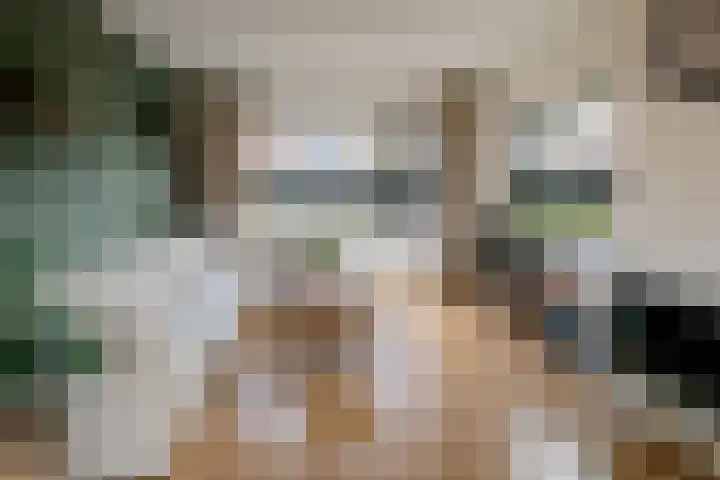 Wilgenlaan 34 Wierden thumbnail 12