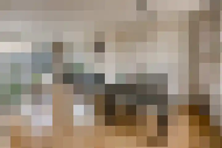 Wilgenlaan 34 Wierden thumbnail 13