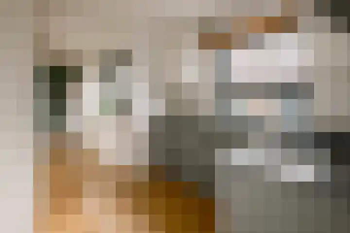 Wilgenlaan 34 Wierden thumbnail 19