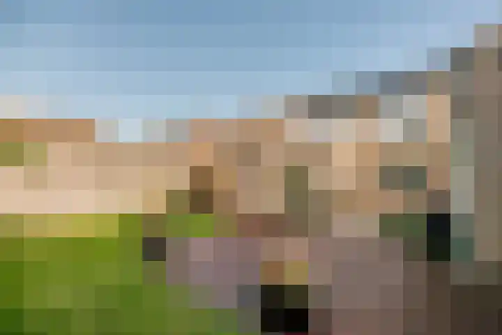 Wilgenlaan 34 Wierden thumbnail 22