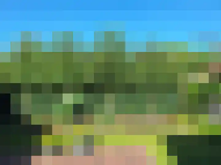 Wilgenlaan 34 Wierden thumbnail 25