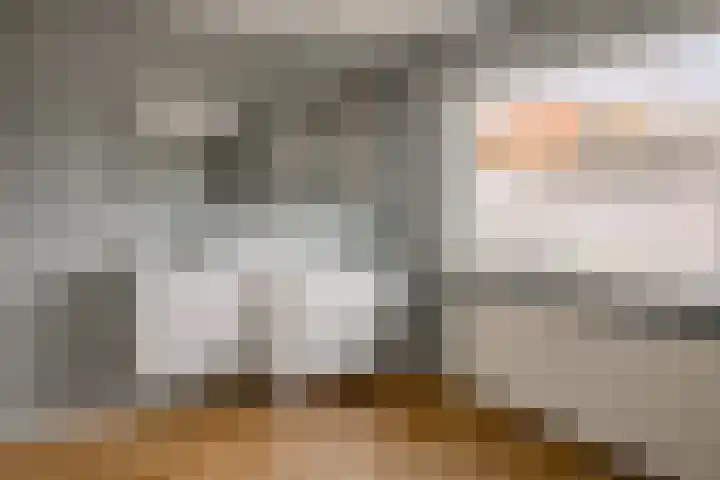 Wilgenlaan 34 Wierden thumbnail 31