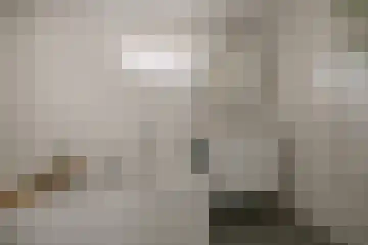 Wilgenlaan 34 Wierden thumbnail 32