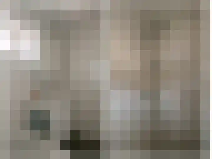 Wilgenlaan 34 Wierden thumbnail 33