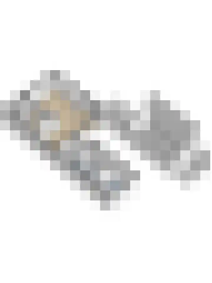 Wilgenlaan 34 Wierden thumbnail 37