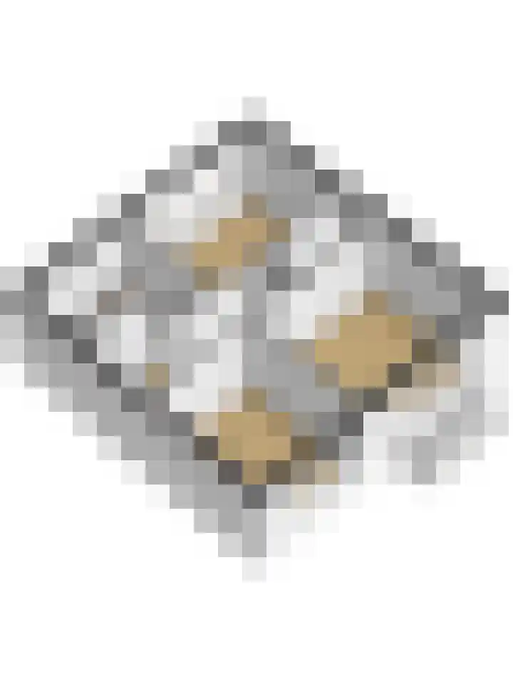 Wilgenlaan 34 Wierden thumbnail 39