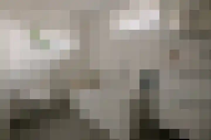 Wilgenlaan 34 Wierden thumbnail 4