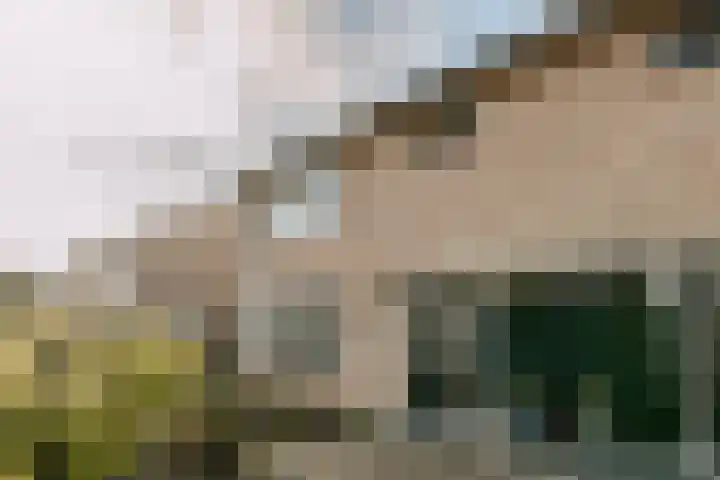 Wilgenlaan 34 Wierden thumbnail 7