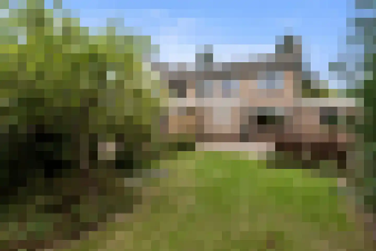 Wilgenlaan 36 Sint Pancras thumbnail 21