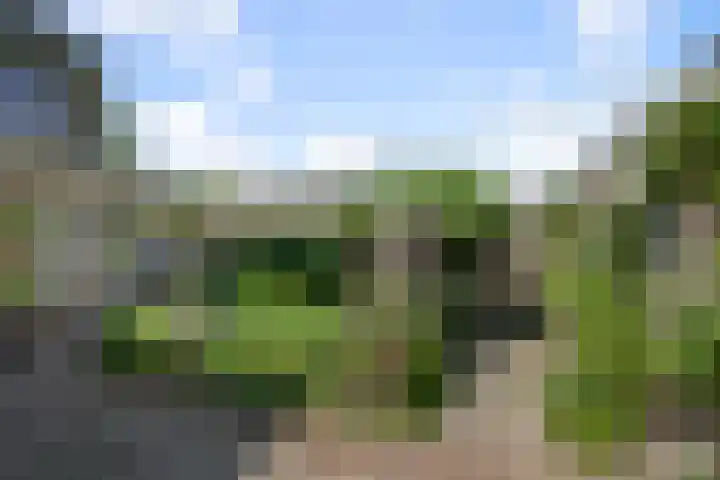 Wilgenlaan 37 Oudorp thumbnail 39