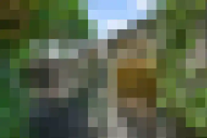 Wilgenlaan 37 Oudorp thumbnail 40