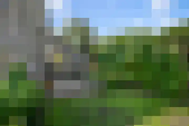 Wilgenlaan 37 Oudorp thumbnail 41