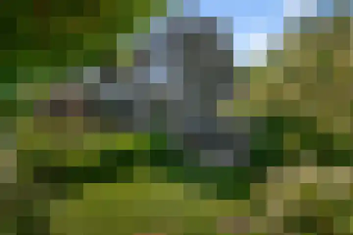 Wilgenlaan 37 Oudorp thumbnail 42