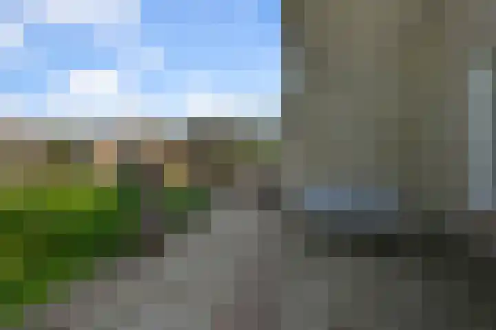 Wilgenlaan 37 Oudorp thumbnail 43