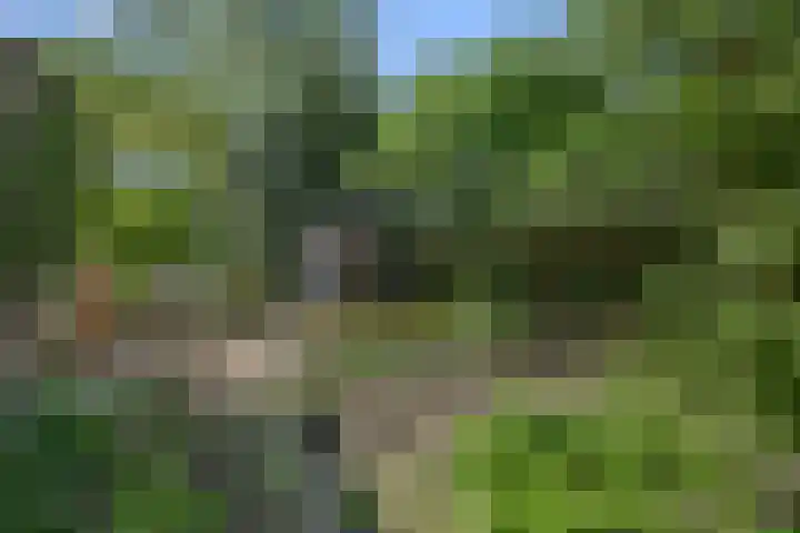 Wilgenlaan 37 Oudorp thumbnail 45