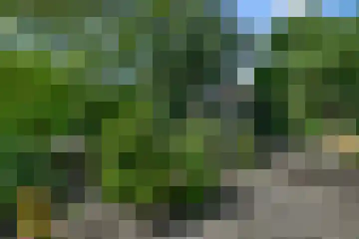 Wilgenlaan 37 Oudorp thumbnail 46