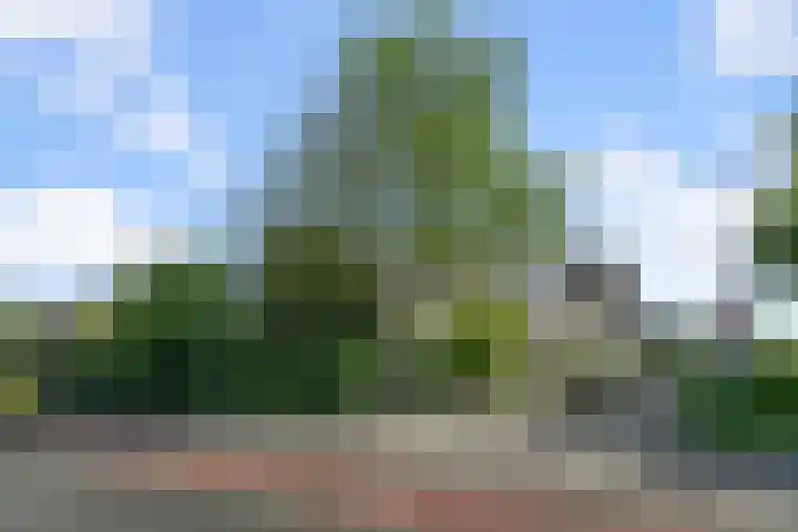Wilgenlaan 37 Oudorp thumbnail 48