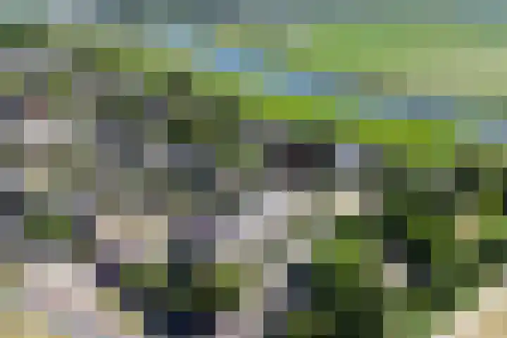 Wilgenlaan 37 Oudorp thumbnail 51