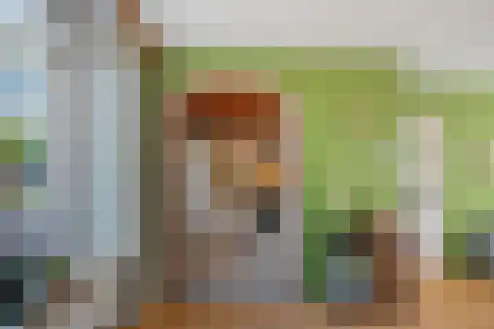 Wilgenlaan 37 Oudorp thumbnail 8