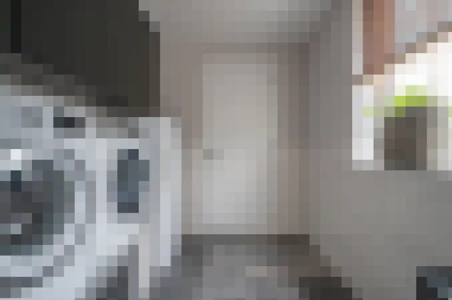 Wilgenlaan 37 Rouveen thumbnail 11