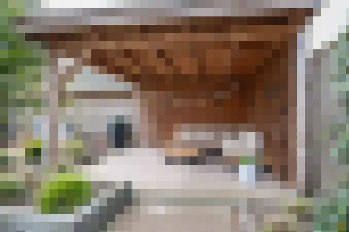 Wilgenlaan 37 Rouveen thumbnail 25