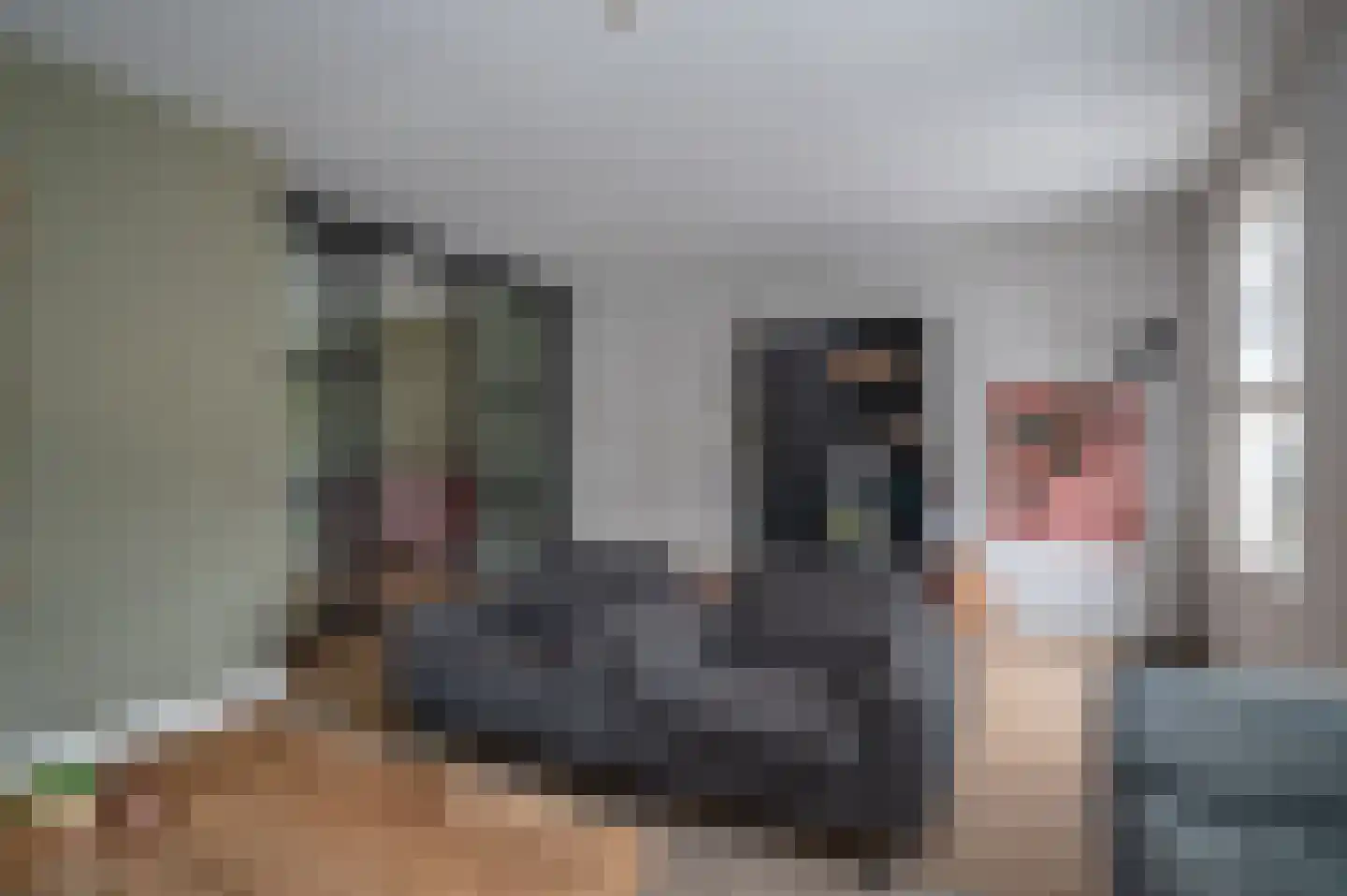 Wilgenlaan 37 Rouveen thumbnail 6