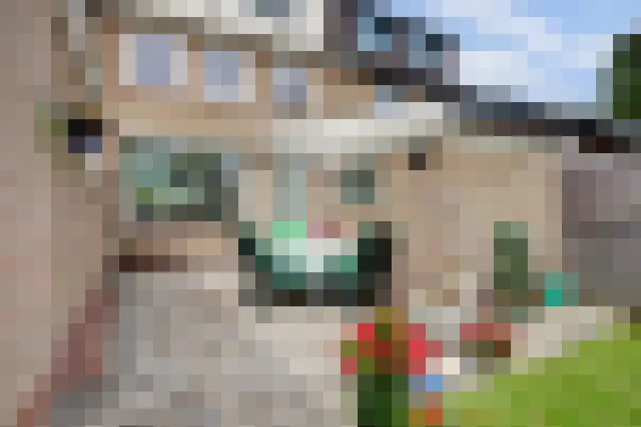 Wilgenlaan 37 Sint Pancras thumbnail 35