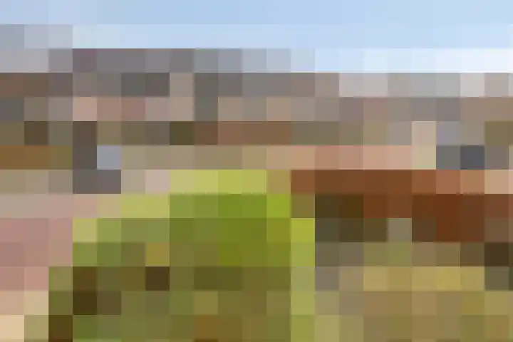Wilgenlaan 4 Hoogland thumbnail 30