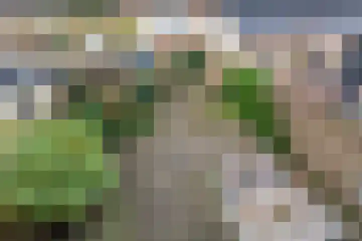 Wilgenlaan 4 Hoogland thumbnail 37