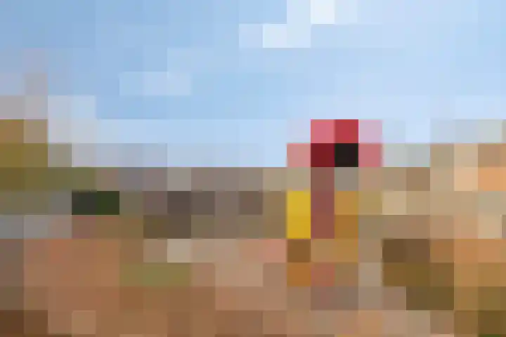 Wilgenlaan 4 Hoogland thumbnail 41