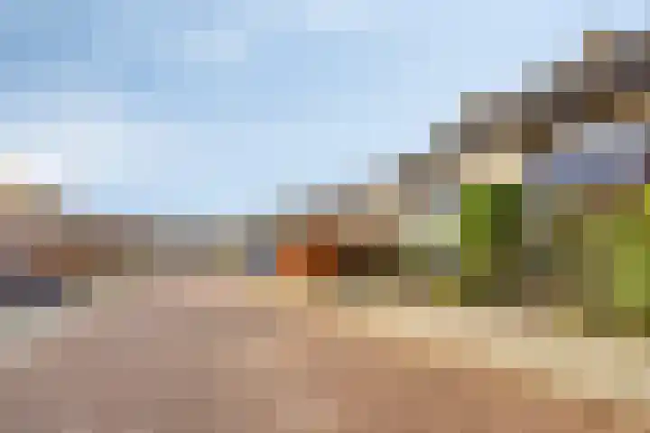 Wilgenlaan 4 Hoogland thumbnail 8