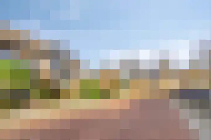 Wilgenlaan 4 Hoogland thumbnail 9