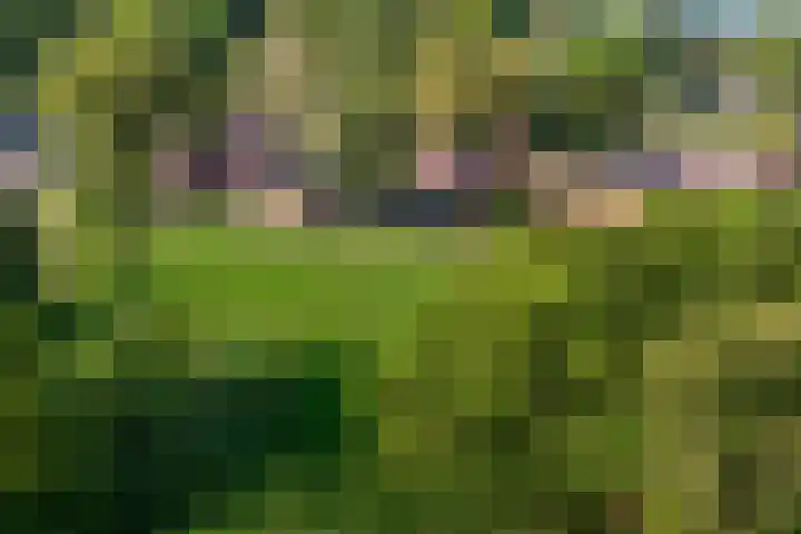 Wilgenlaan 4 Landgraaf thumbnail 21