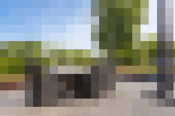 Wilgenlaan 4 Landgraaf thumbnail 26