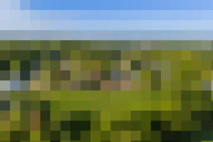 Wilgenlaan 4 Landgraaf thumbnail 28