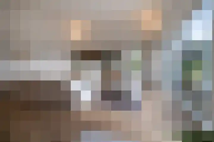 Wilgenlaan 4 Landgraaf thumbnail 6