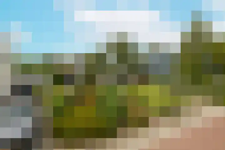 Wilgenlaan 4 Rijnsburg thumbnail 10