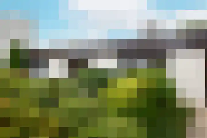 Wilgenlaan 4 Rijnsburg thumbnail 11