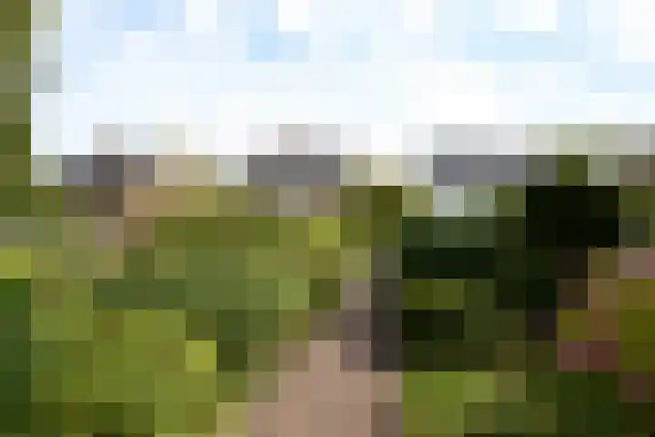 Wilgenlaan 4 Rijnsburg thumbnail 13