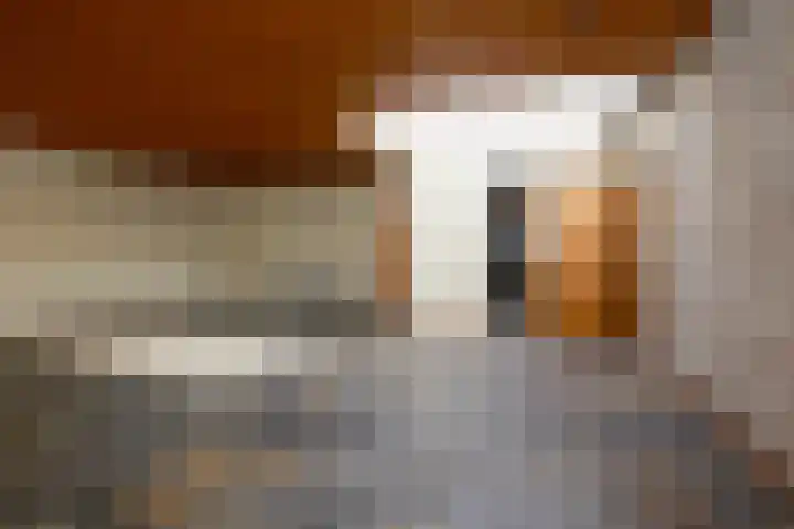 Wilgenlaan 4 Rijnsburg thumbnail 20