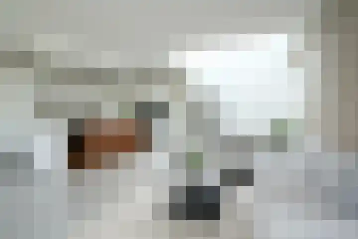 Wilgenlaan 4 Rijnsburg thumbnail 21