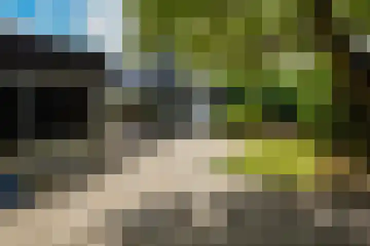 Wilgenlaan 4 Rijnsburg thumbnail 4