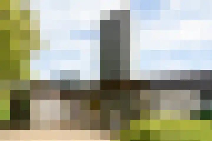 Wilgenlaan 4 Rijnsburg thumbnail 47