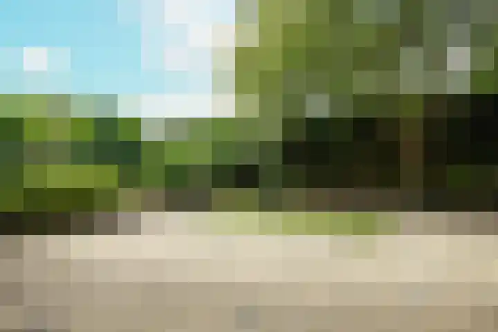 Wilgenlaan 4 Rijnsburg thumbnail 49