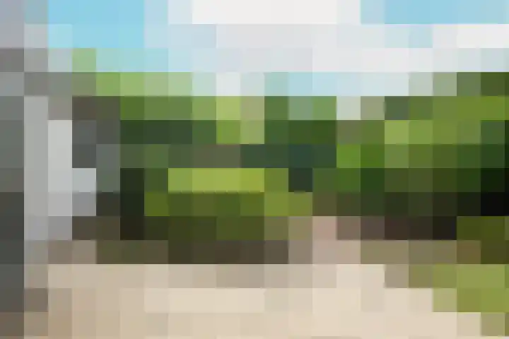 Wilgenlaan 4 Rijnsburg thumbnail 50