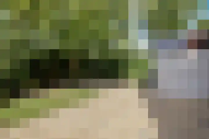 Wilgenlaan 4 Rijnsburg thumbnail 51