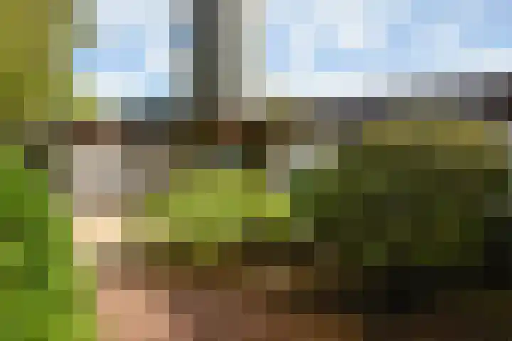 Wilgenlaan 4 Rijnsburg thumbnail 53