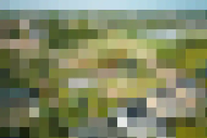 Wilgenlaan 4 Rijnsburg thumbnail 57